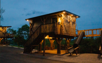 Sanctuary Treehouse Resort: Why Stay With Us?