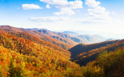 Vacationing in the Smoky Mountains: Your Ultimate Guide to the Best of the Smokies